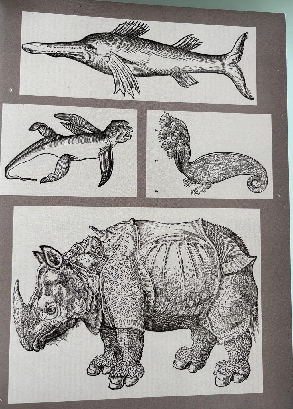 Natural Histories (American Museum of Natural History)