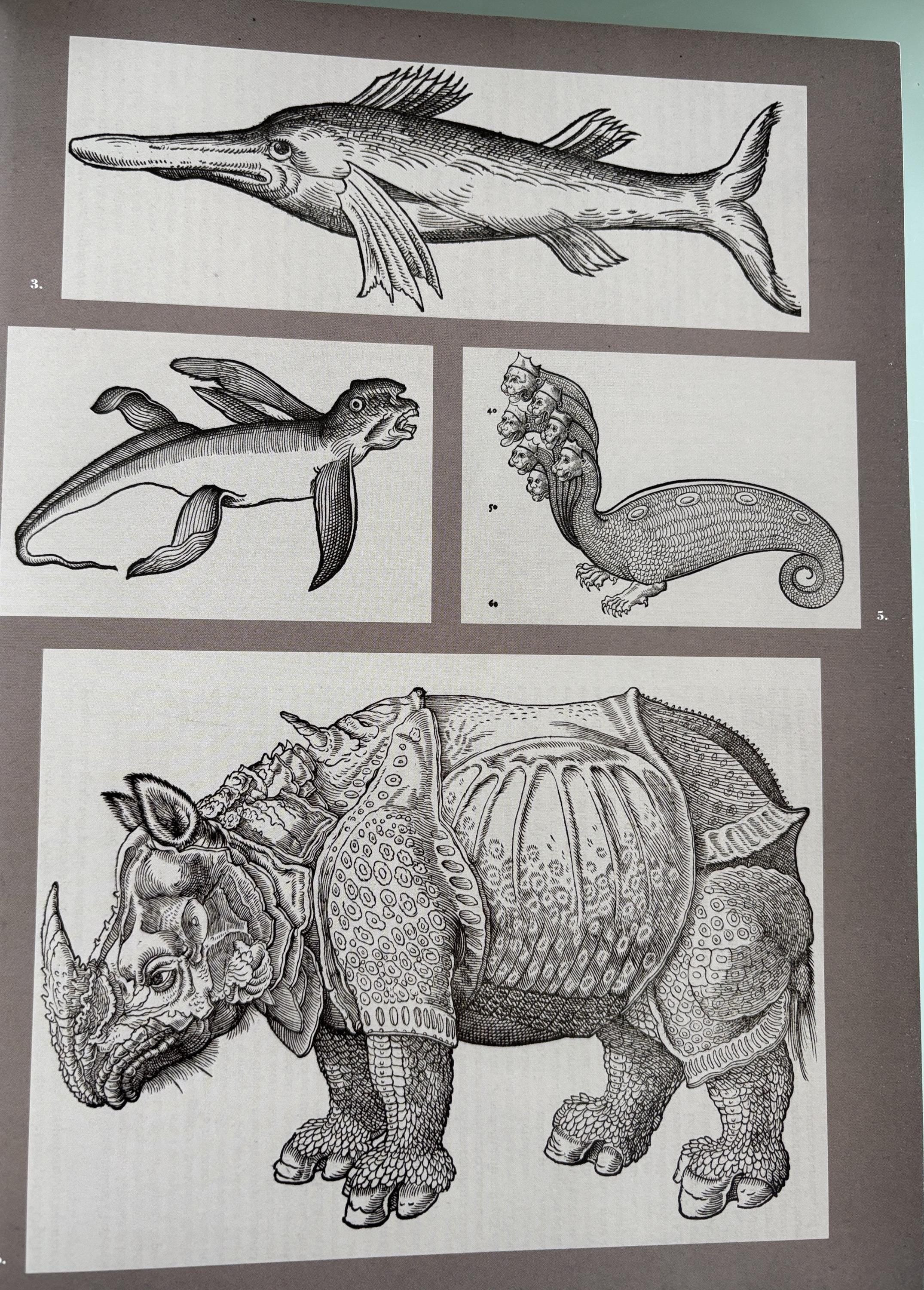 Natural Histories (American Museum of Natural History)