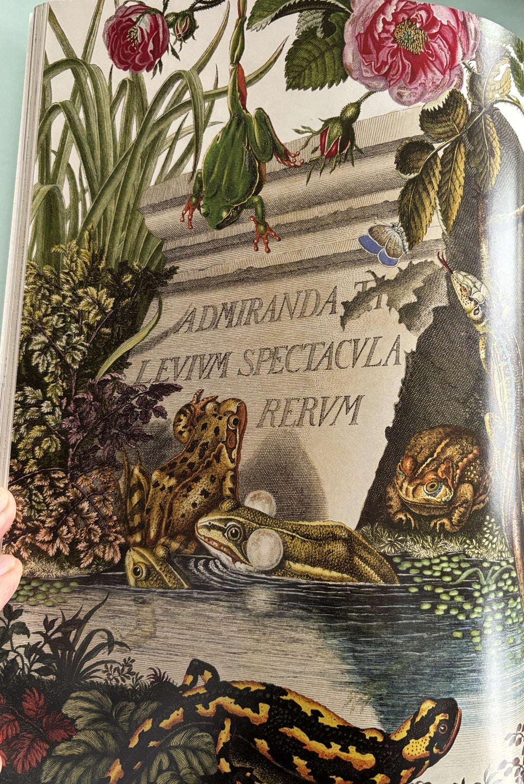 Natural Histories (American Museum of Natural History)
