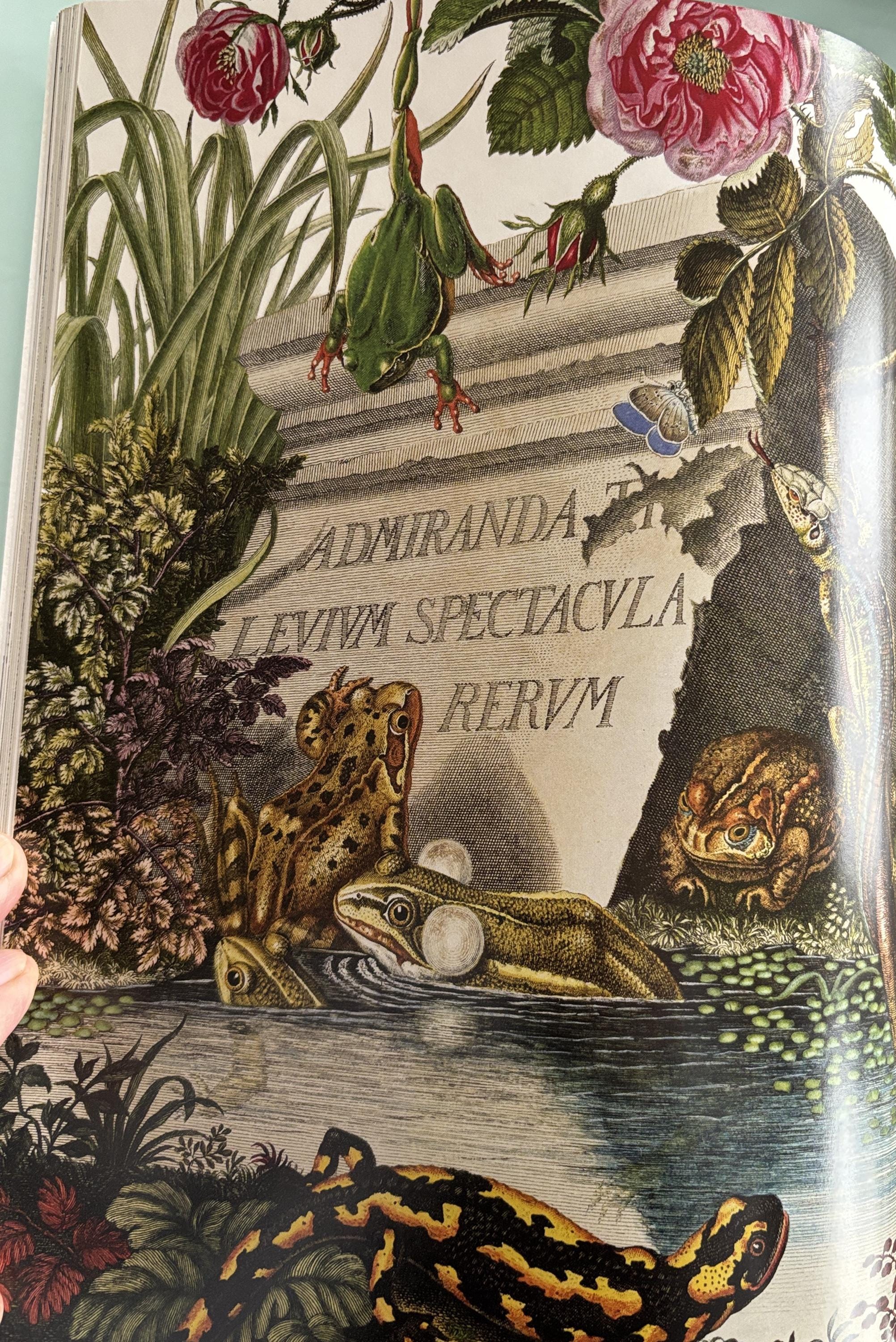Natural Histories (American Museum of Natural History)