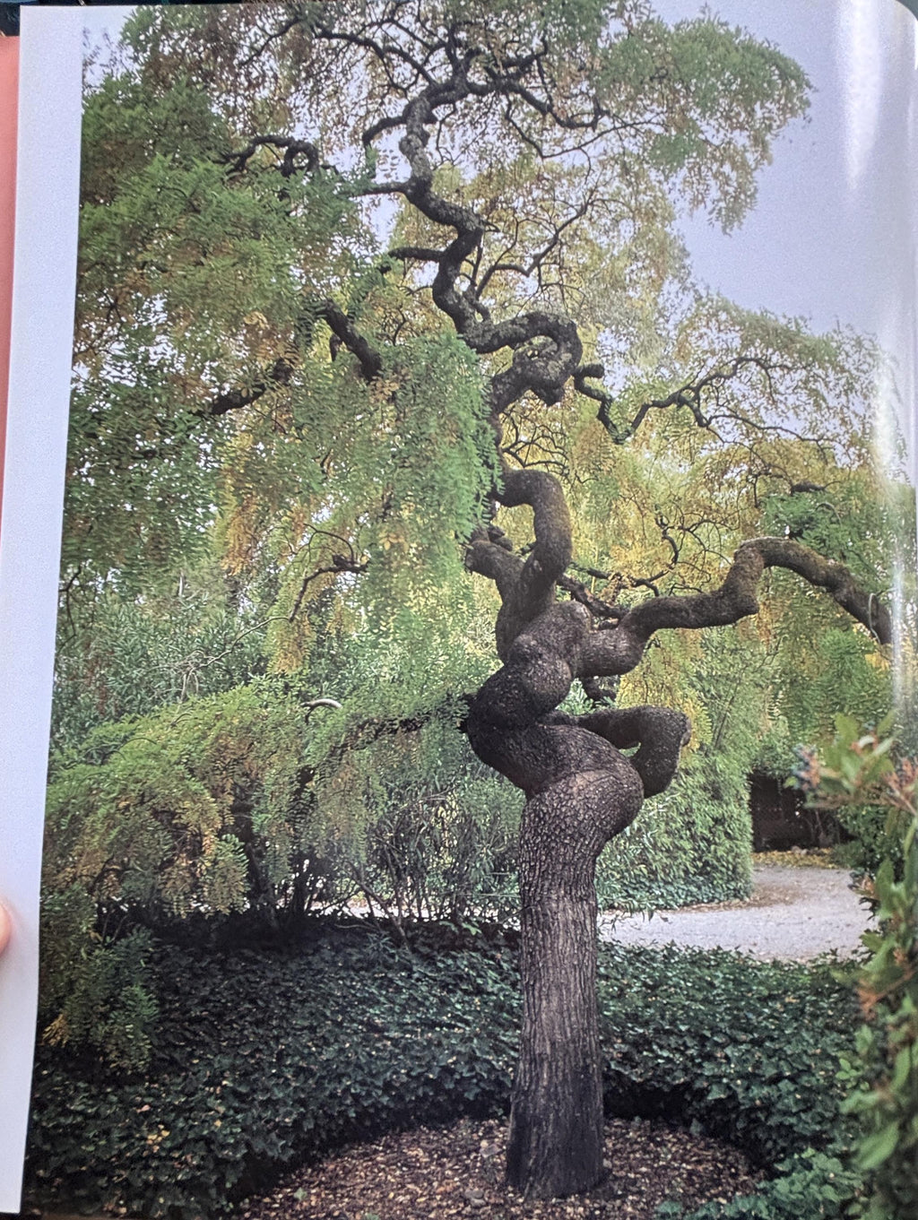 Garden's of the Wine Country  **  First Edition  **