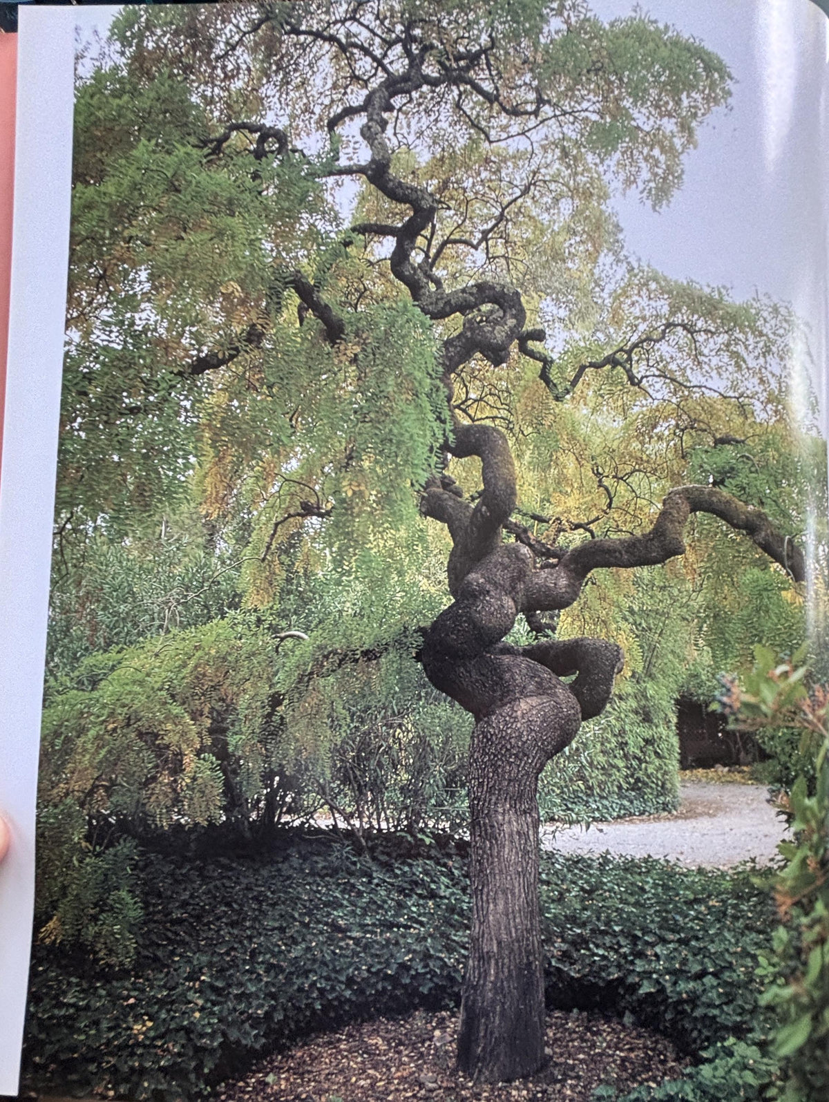 Garden's of the Wine Country  **  First Edition  **
