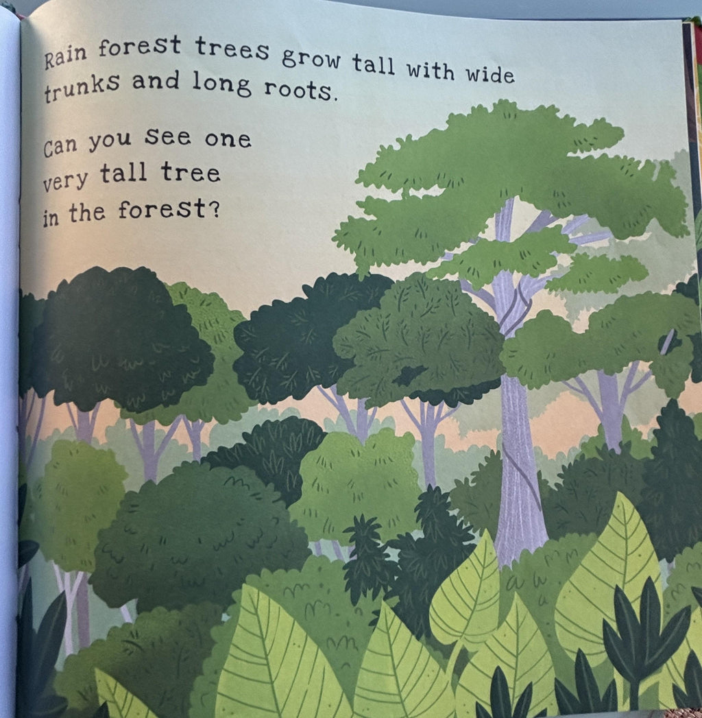 Secrets of the Rain Forest  **  First American Edition  **