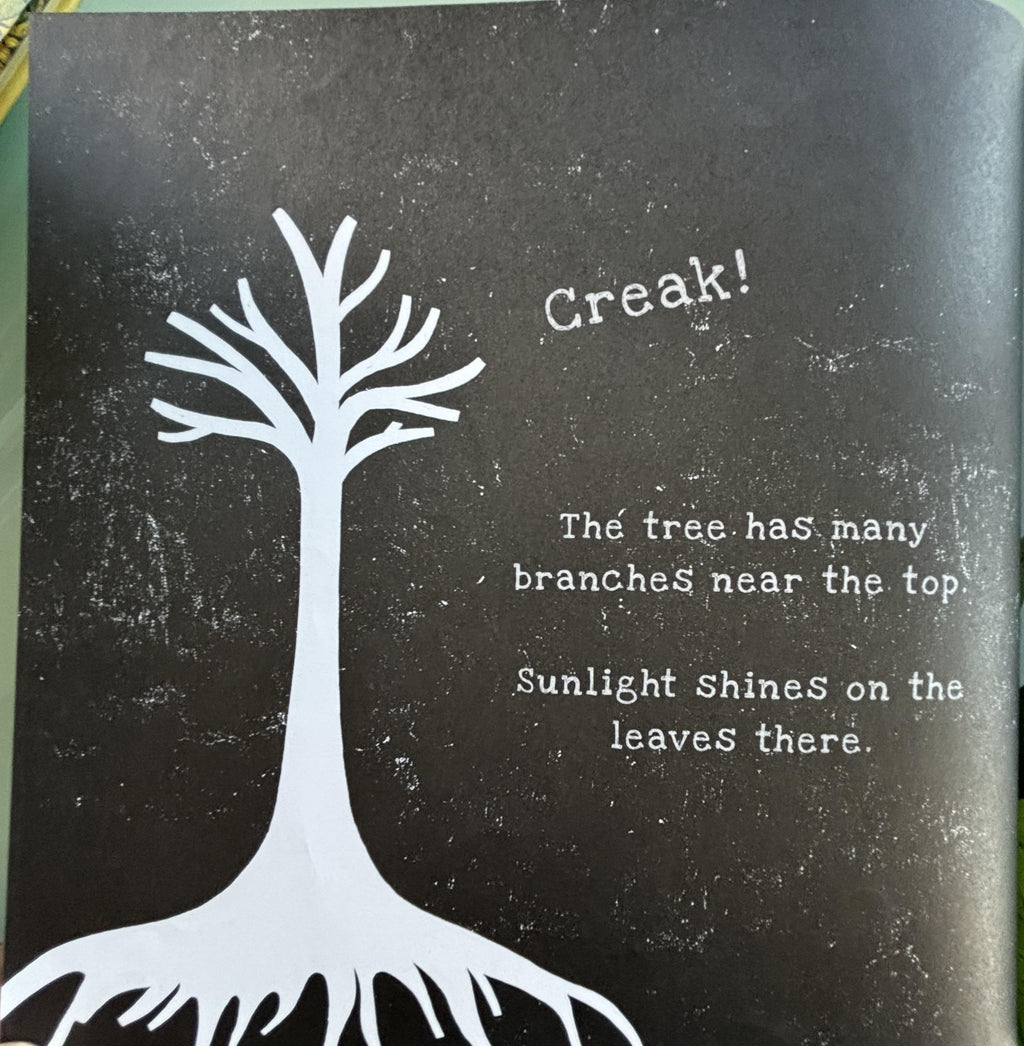 Secrets of the Rain Forest  **  First American Edition  **