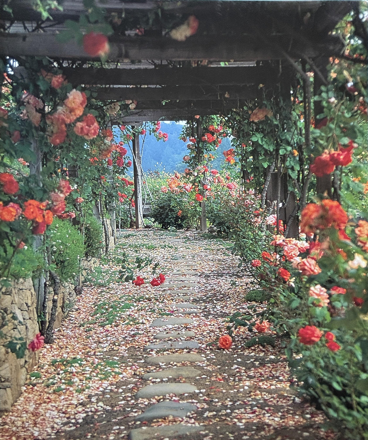 Garden's of the Wine Country  **  First Edition  **
