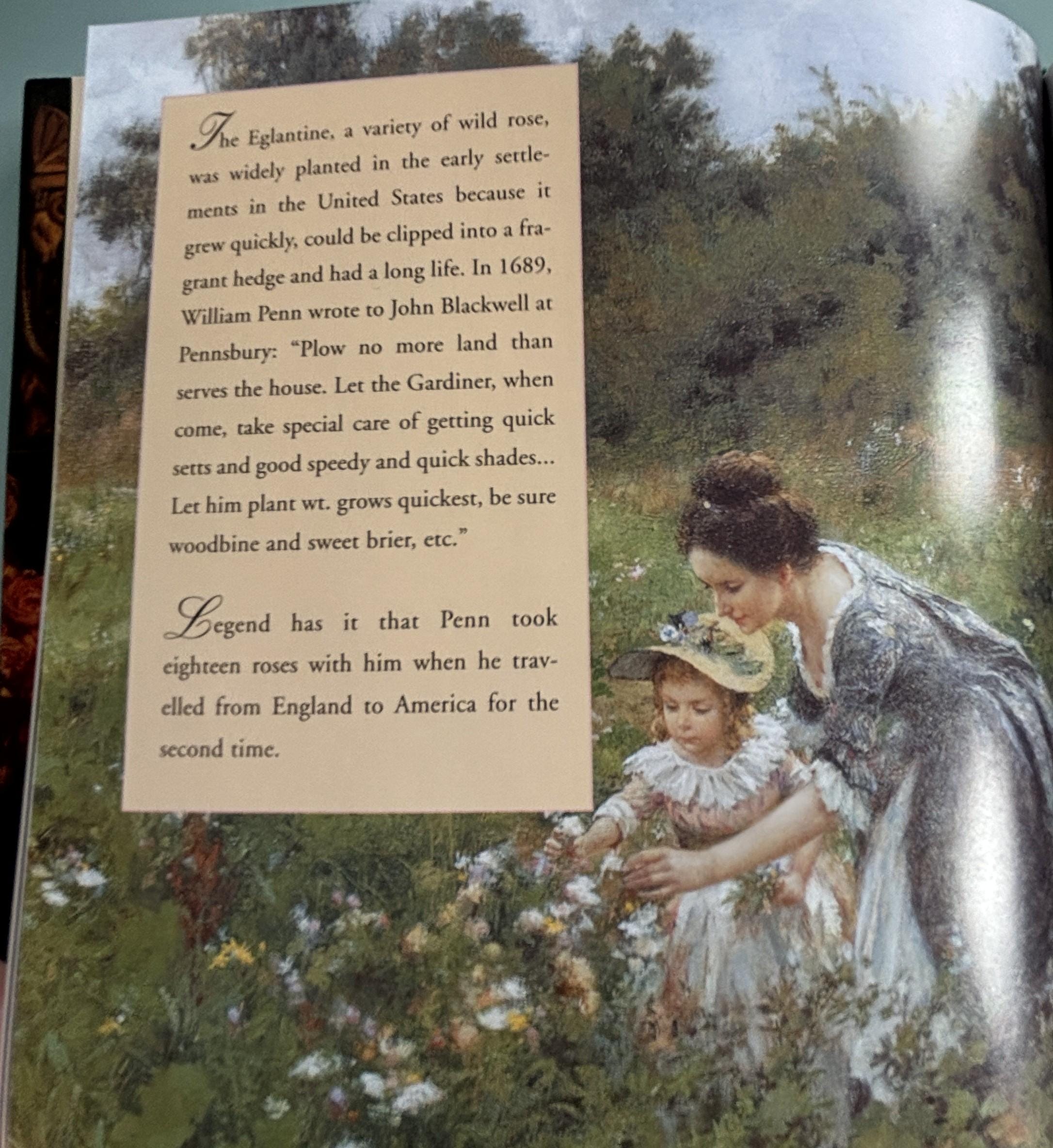 ROSES An Anthology - Fine Art, Verse and Prose