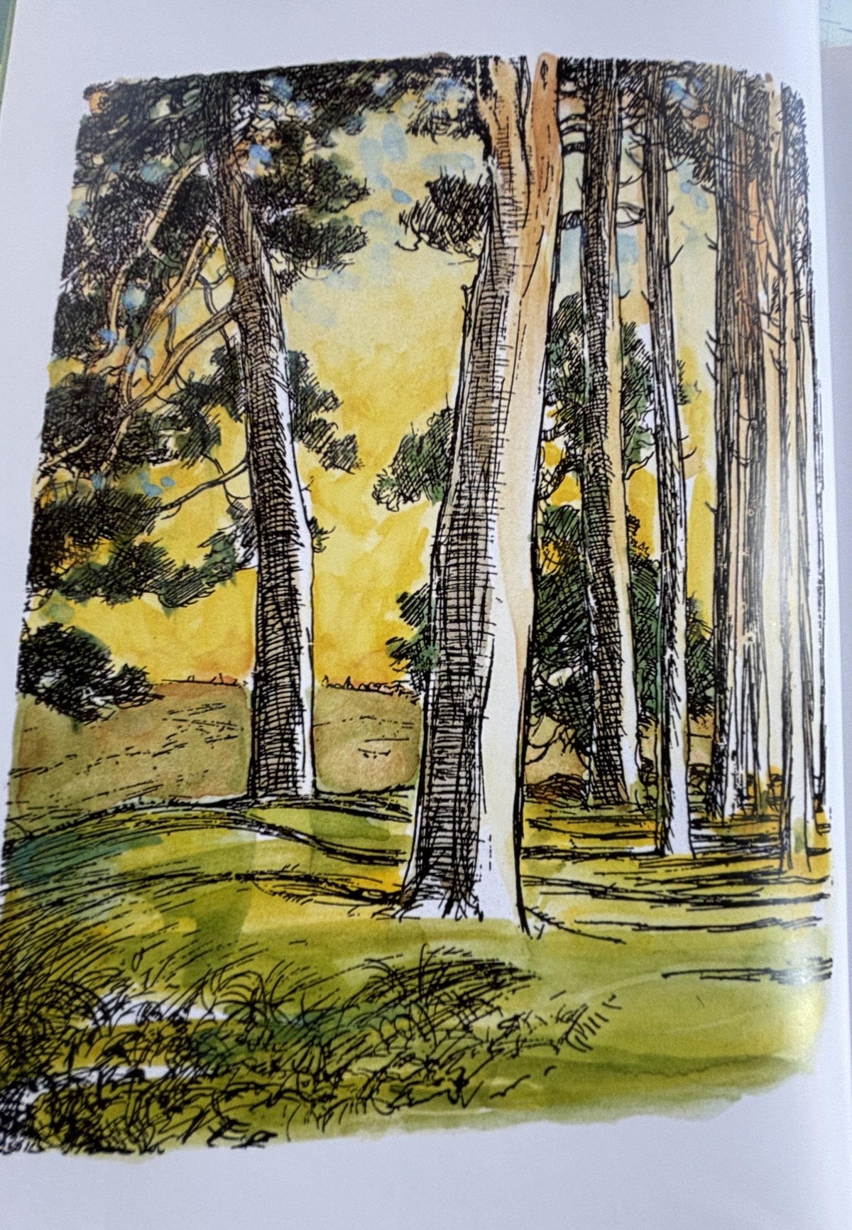The Natural World of Winnie-the-Pooh Book