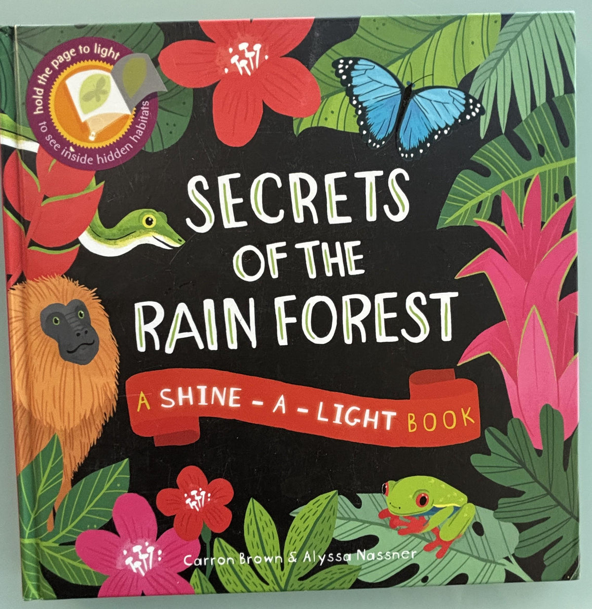 Secrets of the Rain Forest  **  First American Edition  **