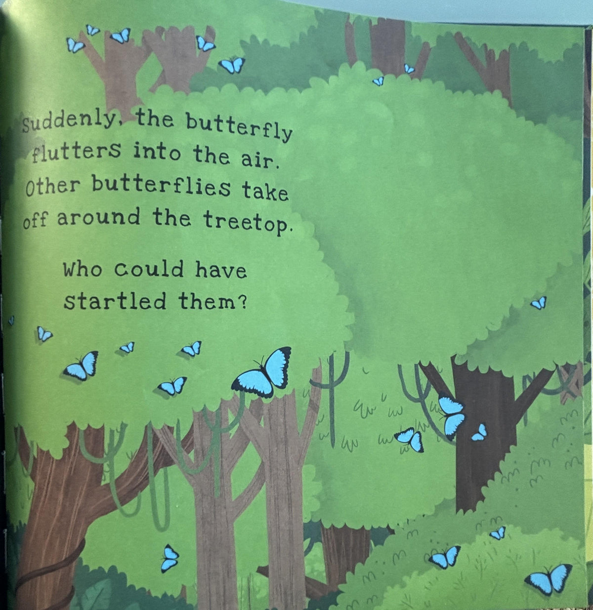 Secrets of the Rain Forest  **  First American Edition  **