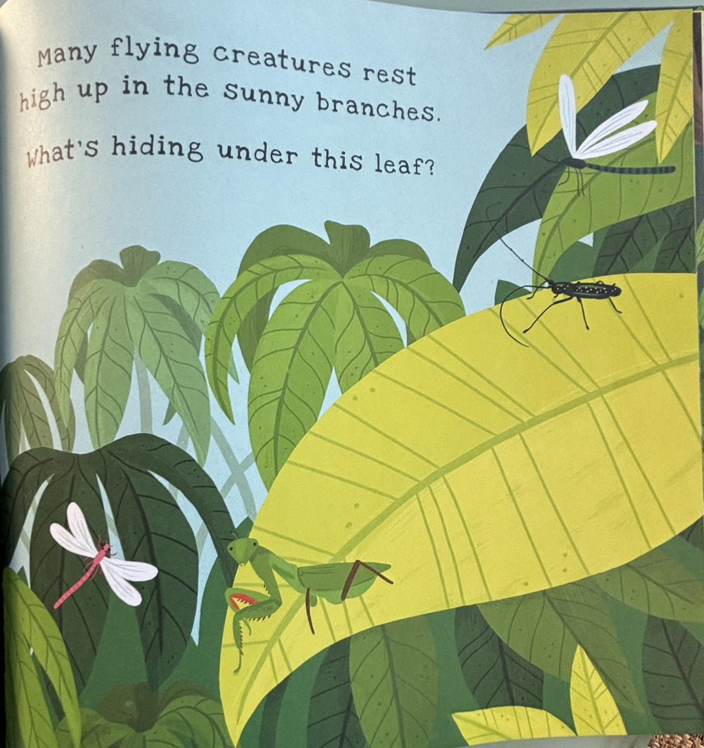 Secrets of the Rain Forest  **  First American Edition  **