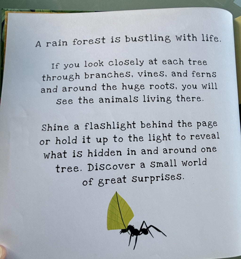 Secrets of the Rain Forest  **  First American Edition  **
