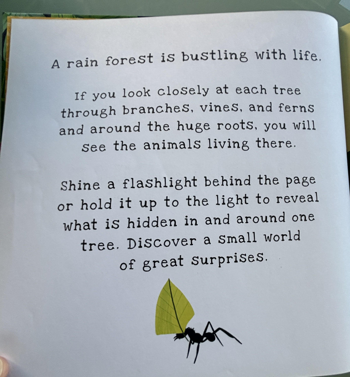 Secrets of the Rain Forest  **  First American Edition  **