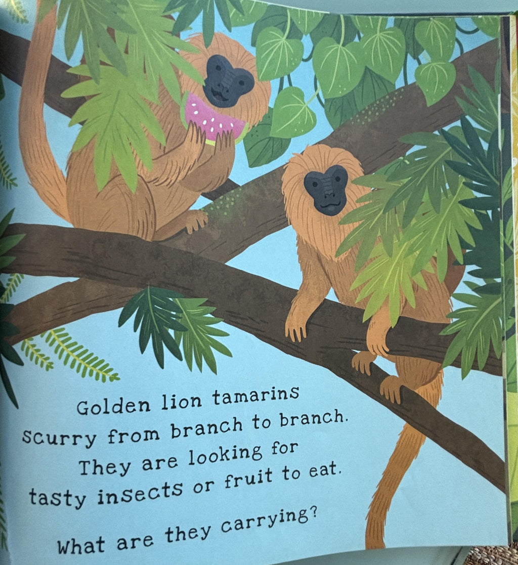 Secrets of the Rain Forest  **  First American Edition  **