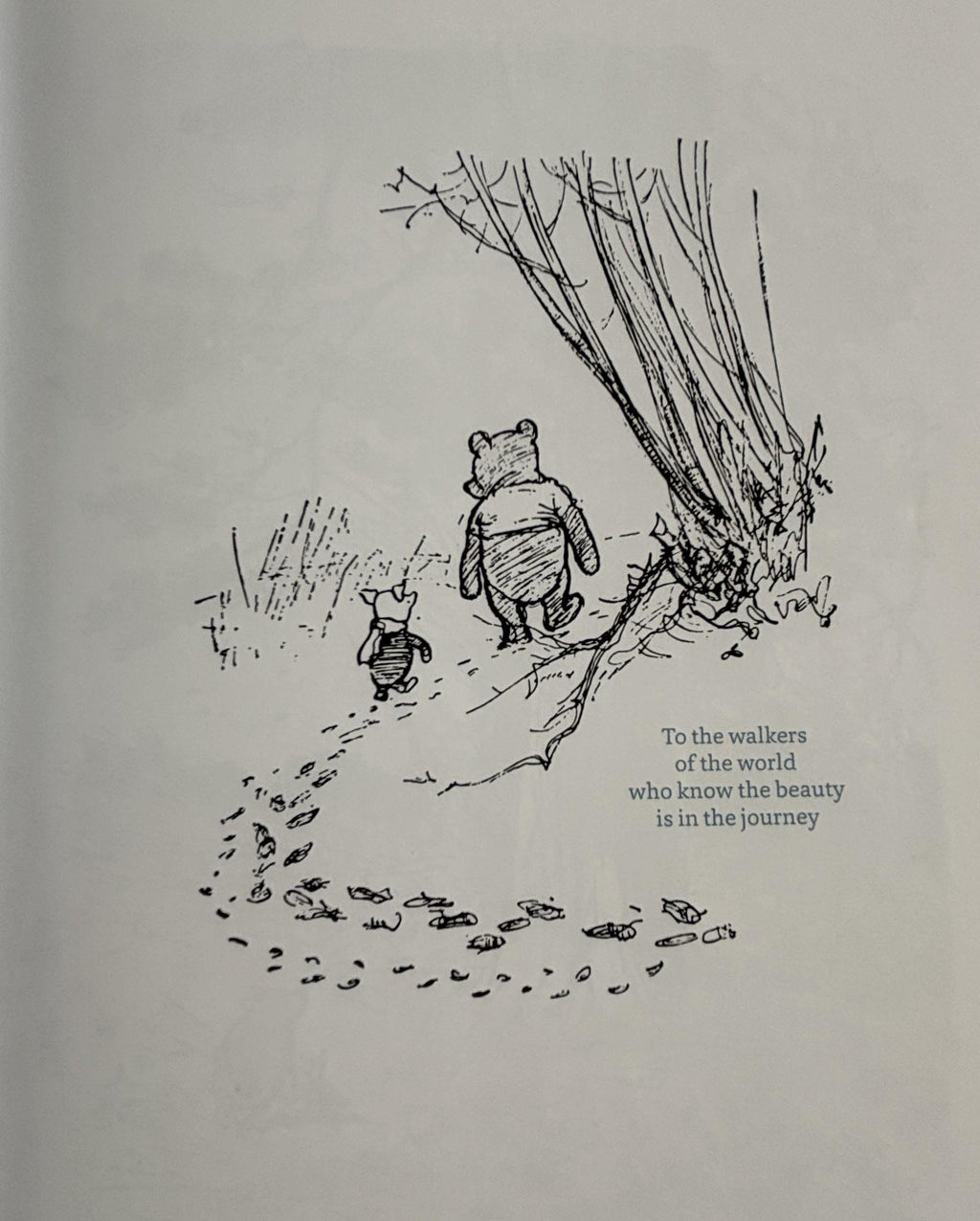 The Natural World of Winnie-the-Pooh Book