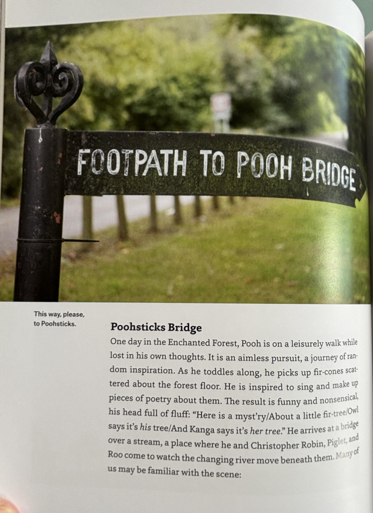 The Natural World of Winnie-the-Pooh Book