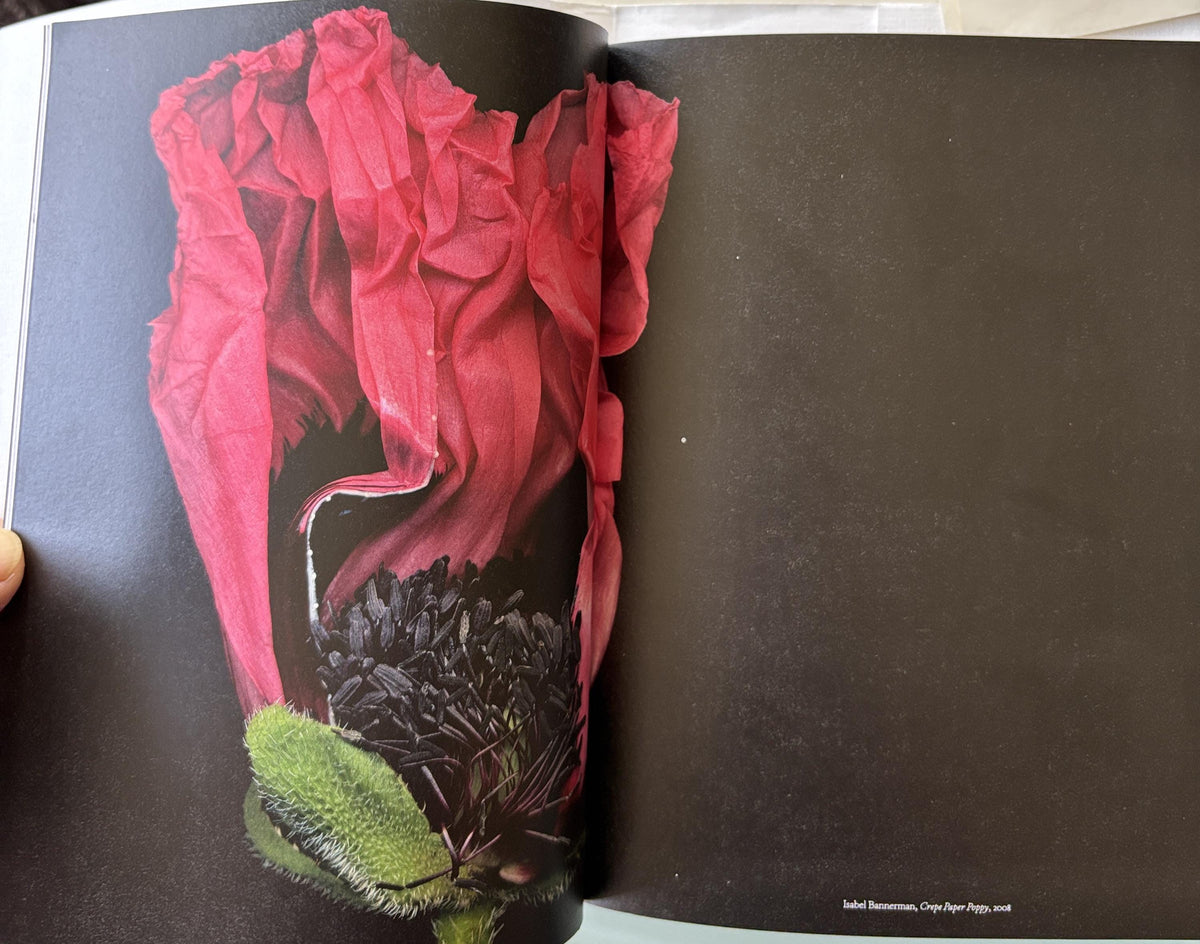 The Book of the Flower: Flowers in Art - Paperback By Hyland, Angus Valentines Day Gift