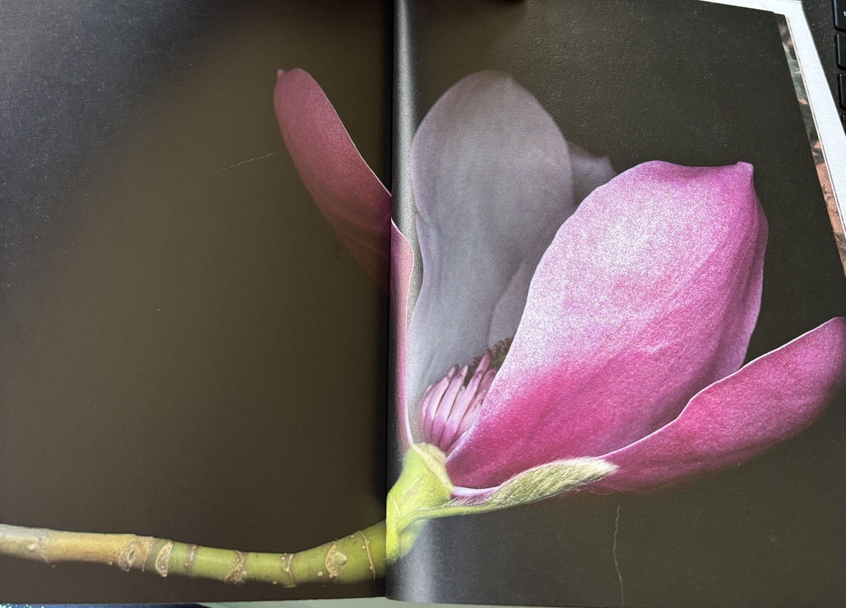 The Book of the Flower: Flowers in Art - Paperback By Hyland, Angus Valentines Day Gift