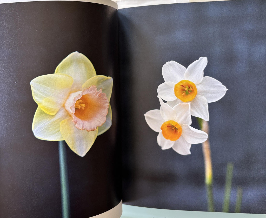The Book of the Flower: Flowers in Art - Paperback By Hyland, Angus Valentines Day Gift
