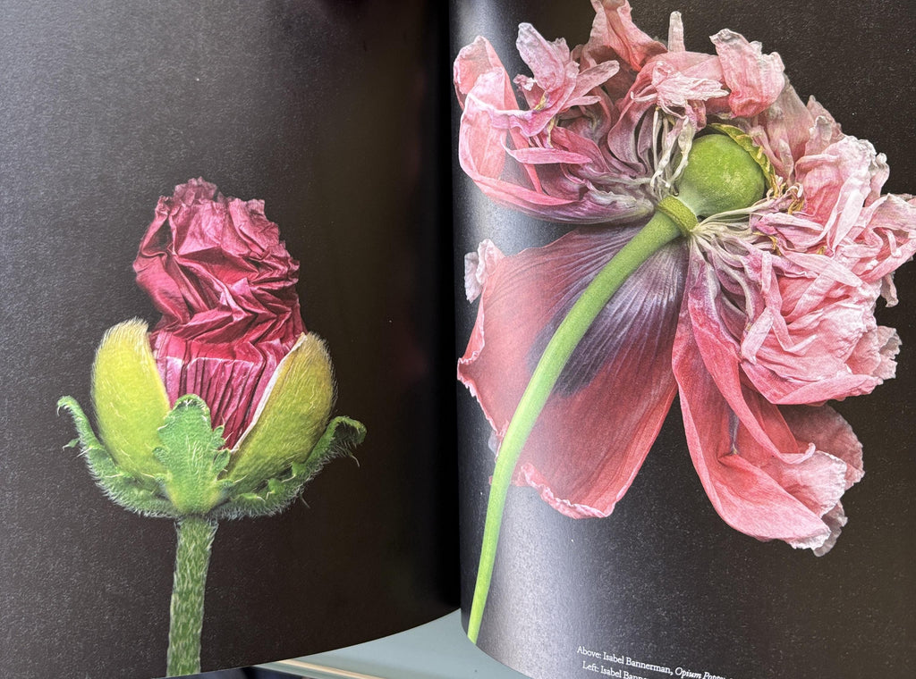 The Book of the Flower: Flowers in Art - Paperback By Hyland, Angus Valentines Day Gift