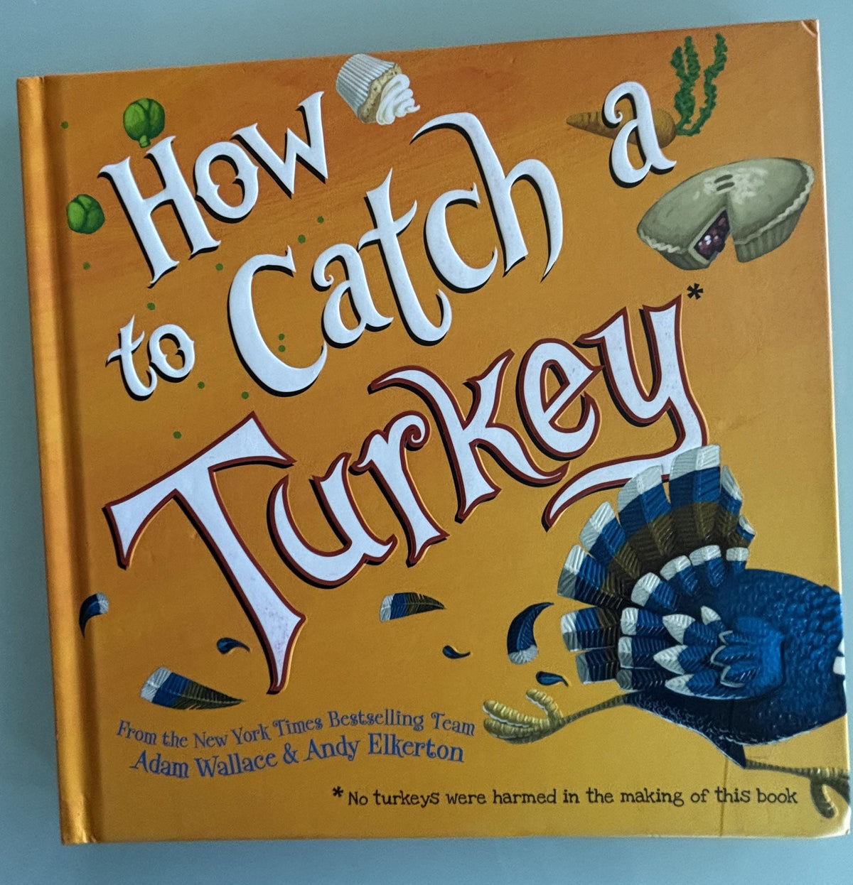 How to Catch a Turkey by Adam Wallace