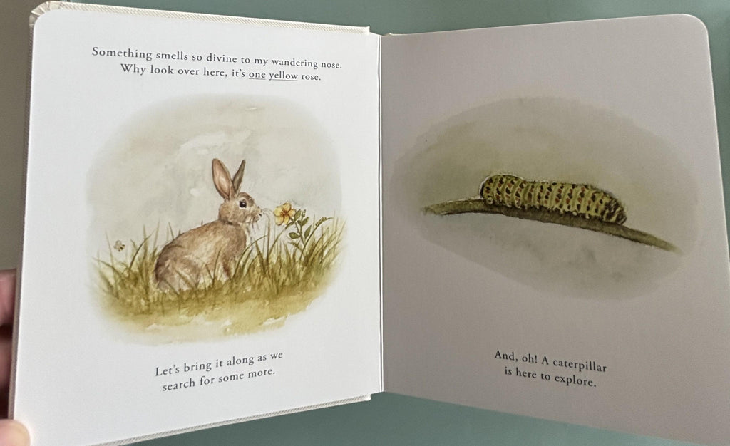 Our Little ADVENTURES - Foundational Language Concpets