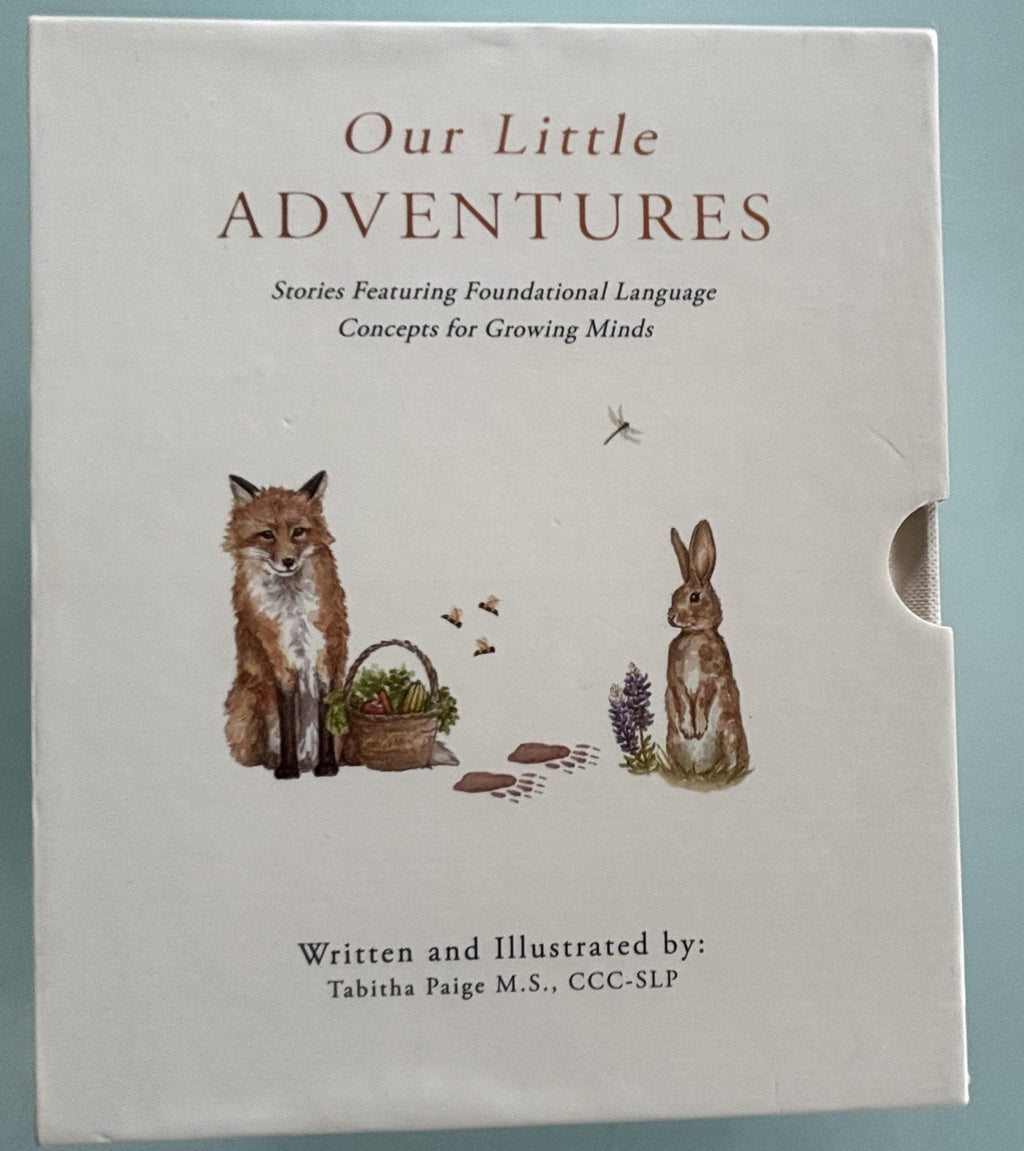 Our Little ADVENTURES - Foundational Language Concpets
