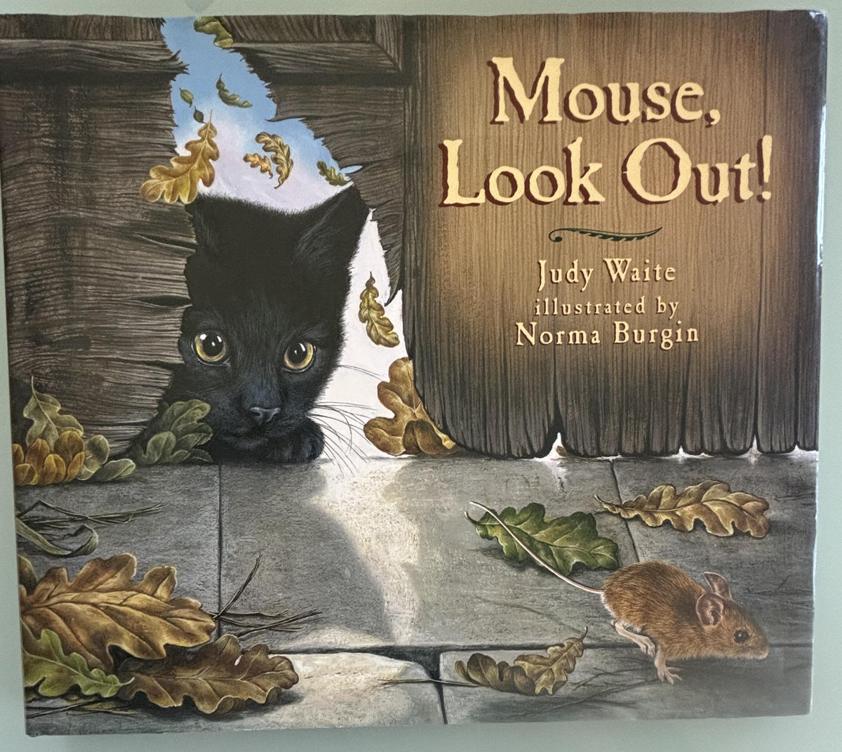 Mouse Look! Out:  by Judy Waite Geat Book