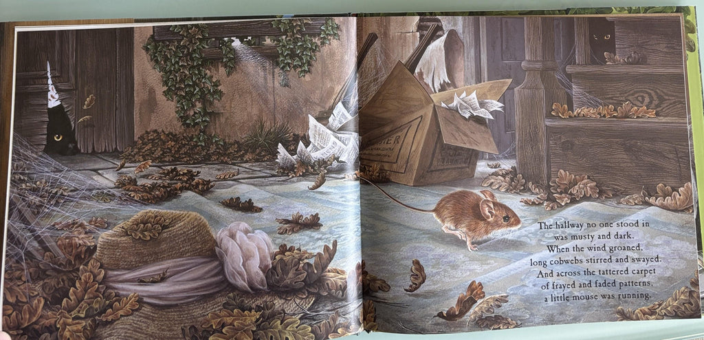 Mouse Look! Out:  by Judy Waite Geat Book