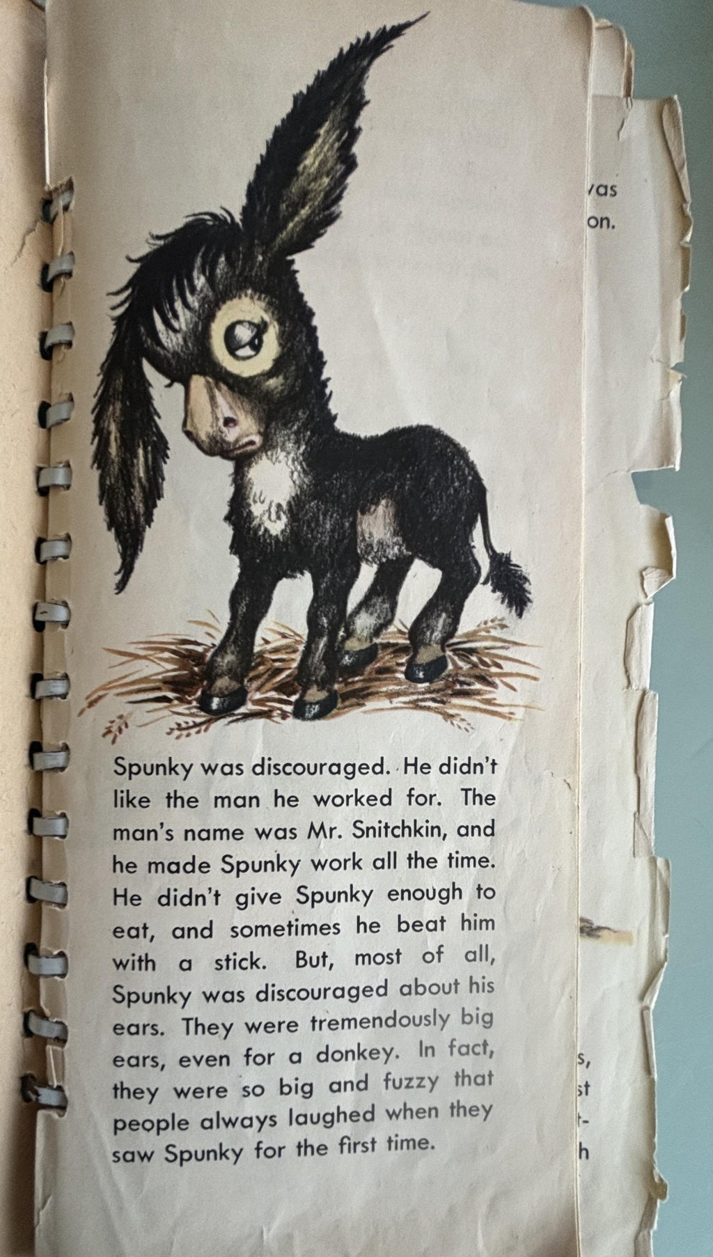Spunky the Donkey:  David & Sharon Stearns