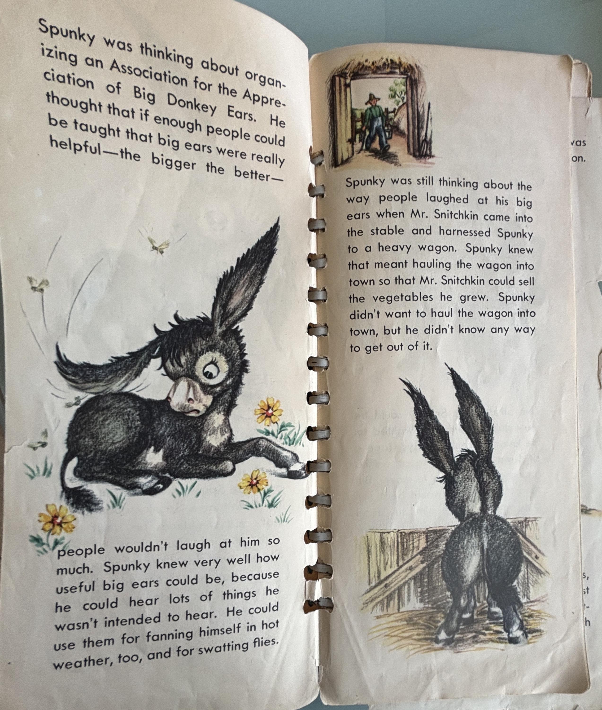 Spunky the Donkey:  David & Sharon Stearns