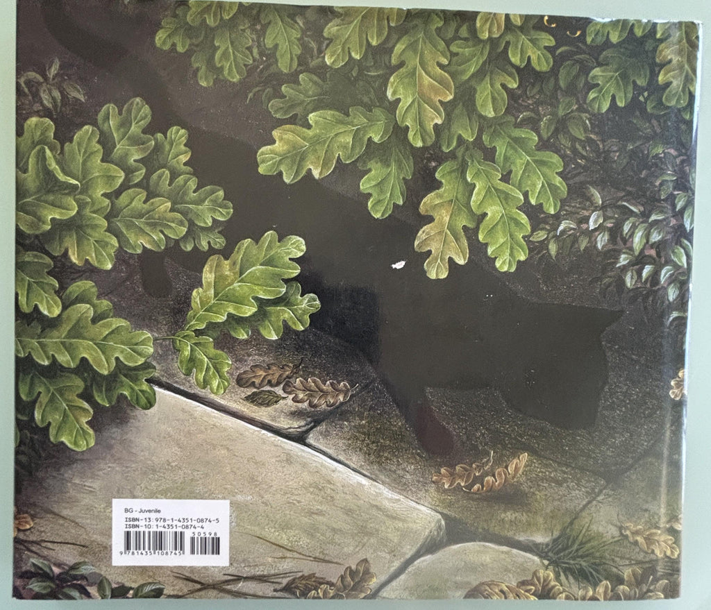 Mouse Look! Out:  by Judy Waite Geat Book