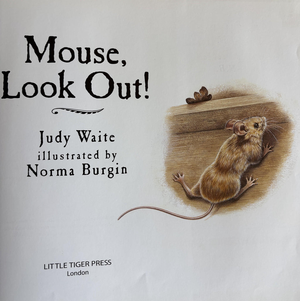 Mouse Look! Out:  by Judy Waite Geat Book