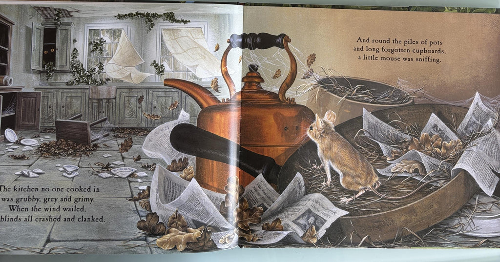 Mouse Look! Out:  by Judy Waite Geat Book