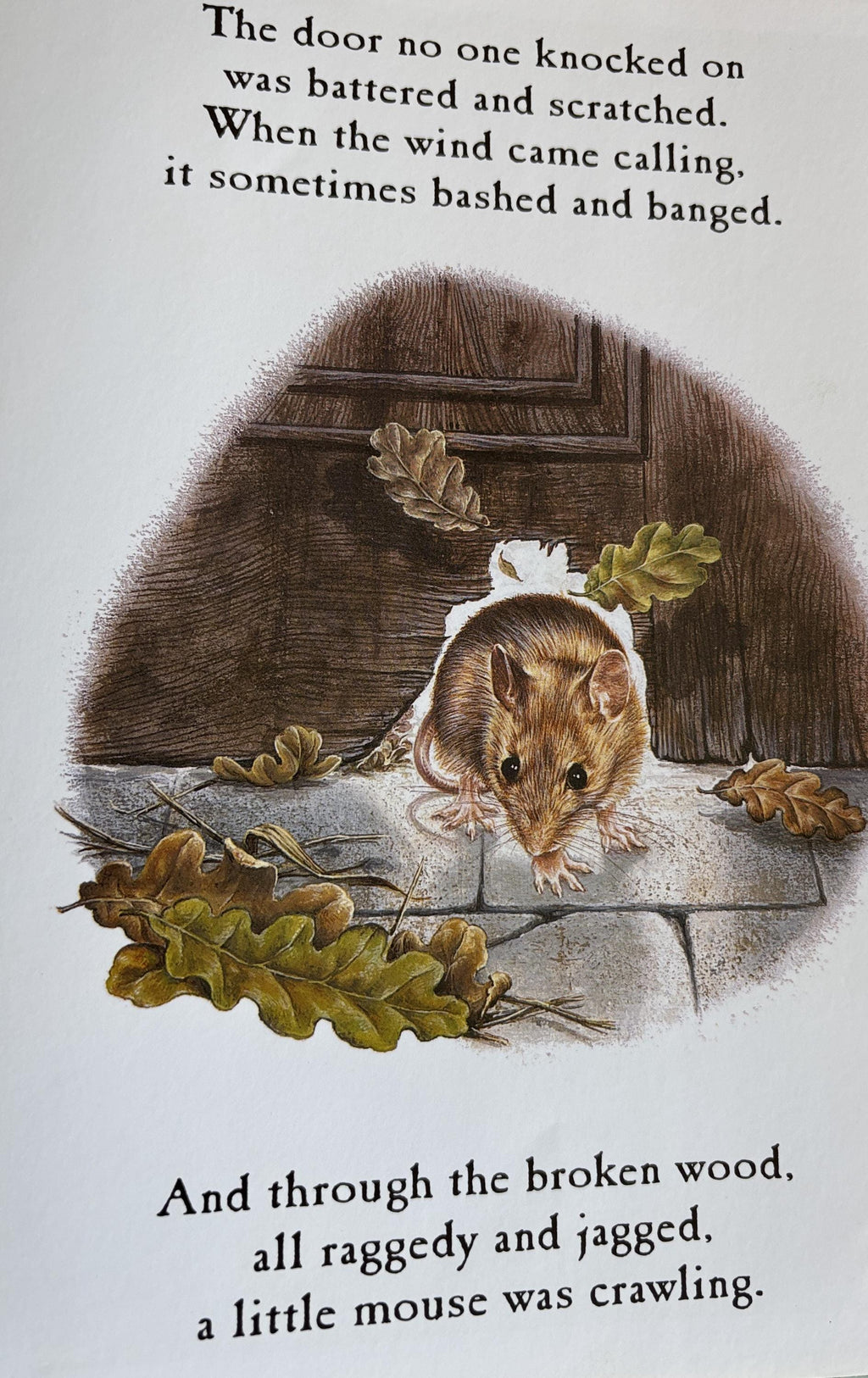 Mouse Look! Out:  by Judy Waite Geat Book