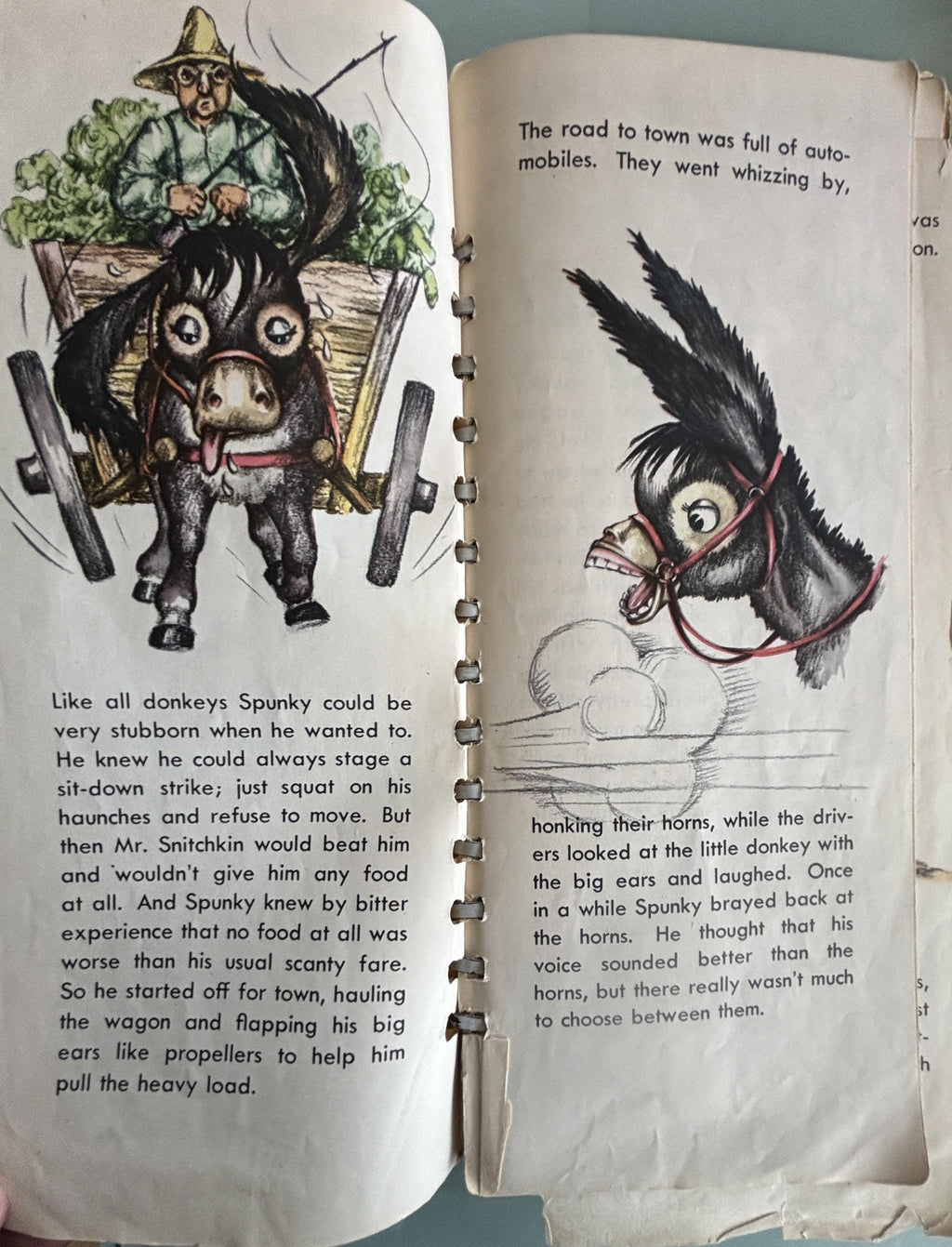 Spunky the Donkey:  David & Sharon Stearns