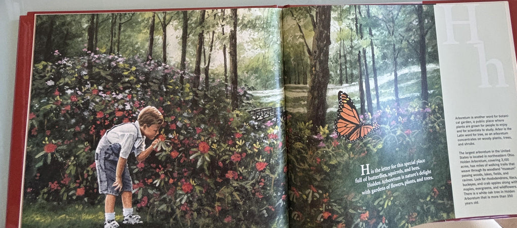 B is for Buckeye by Marcia Schonberg (An Ohio Alphabet)