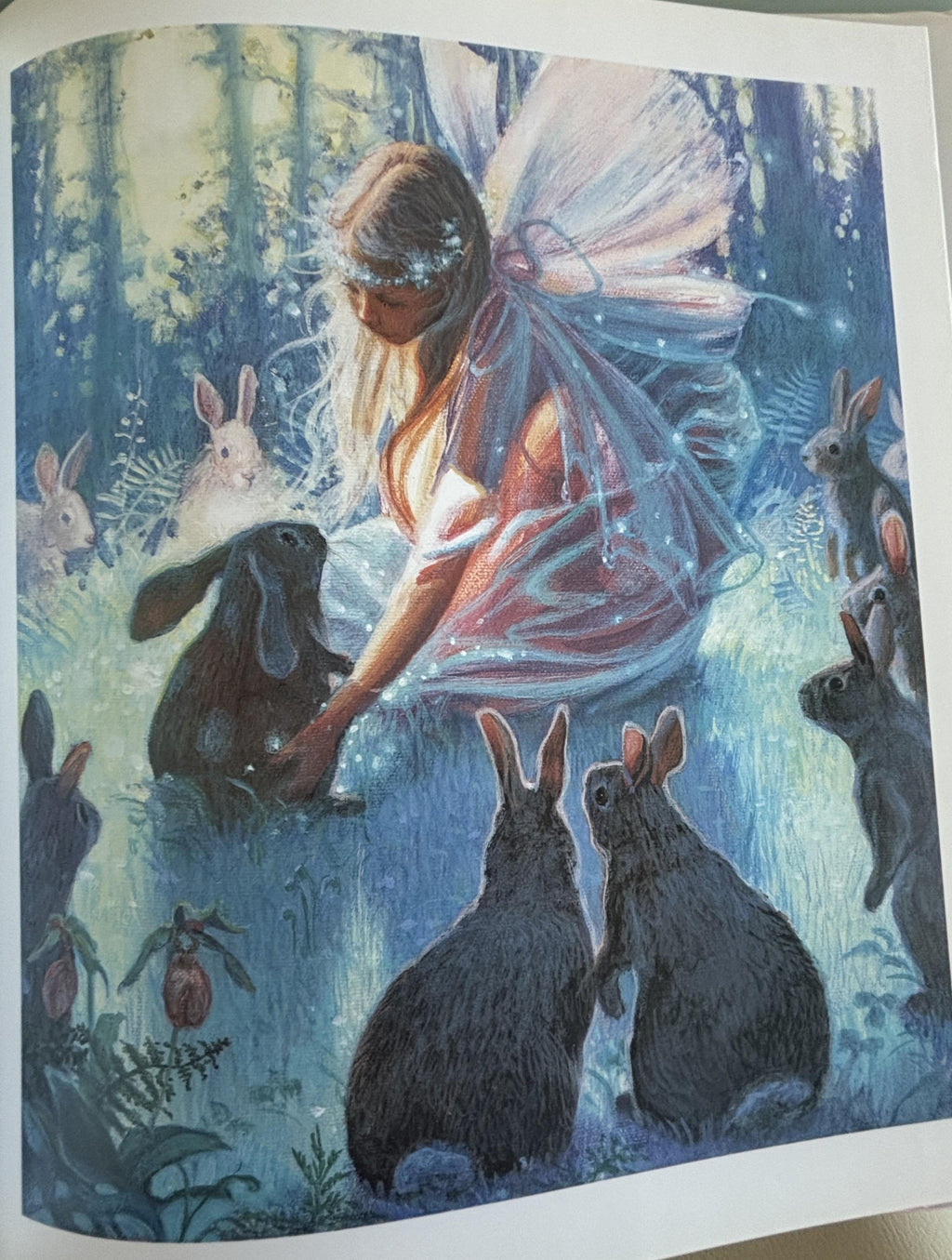 The Velveteen Rabbit: Margery Williams  1995