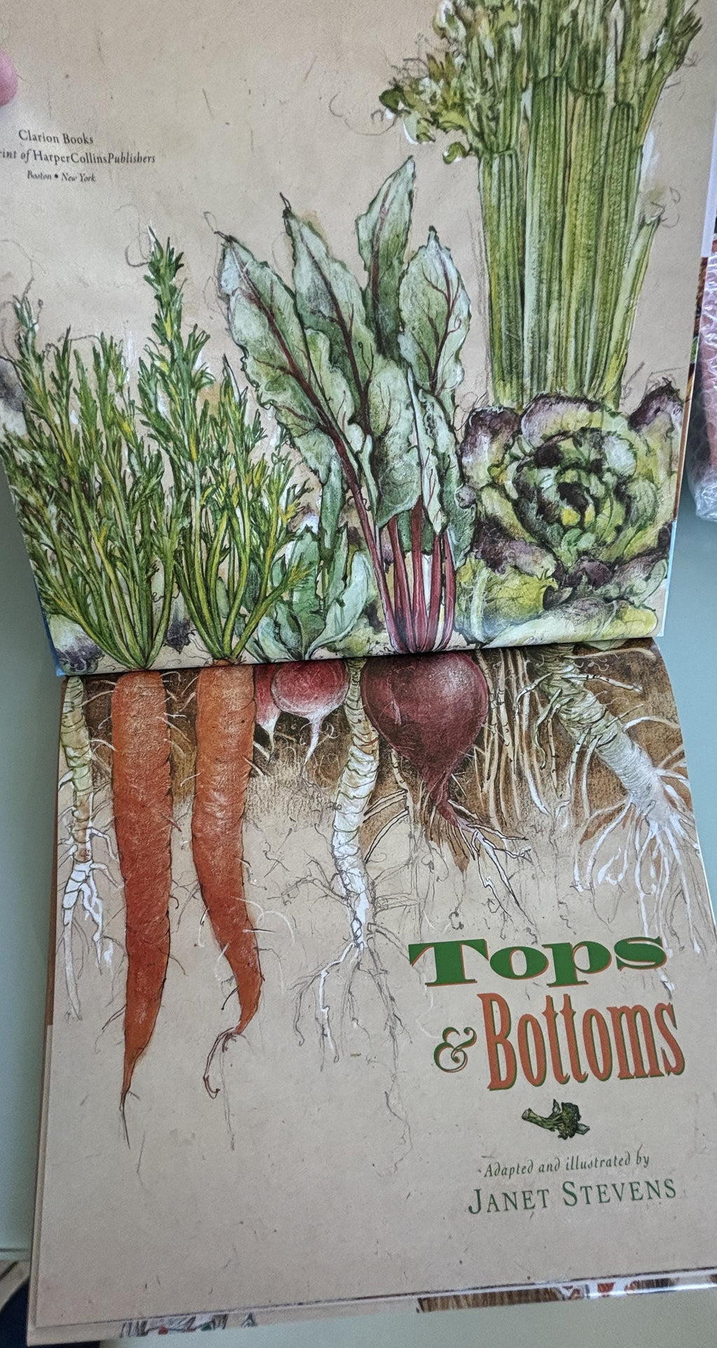 Tops & Bottoms by Janel Stevens **  Caldecott Honor   ** 1995