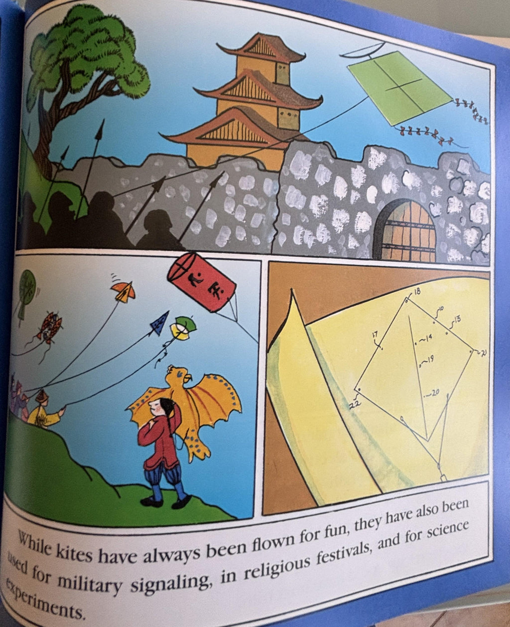 Catch the Wind:  All About Kites  **  First Edition  **