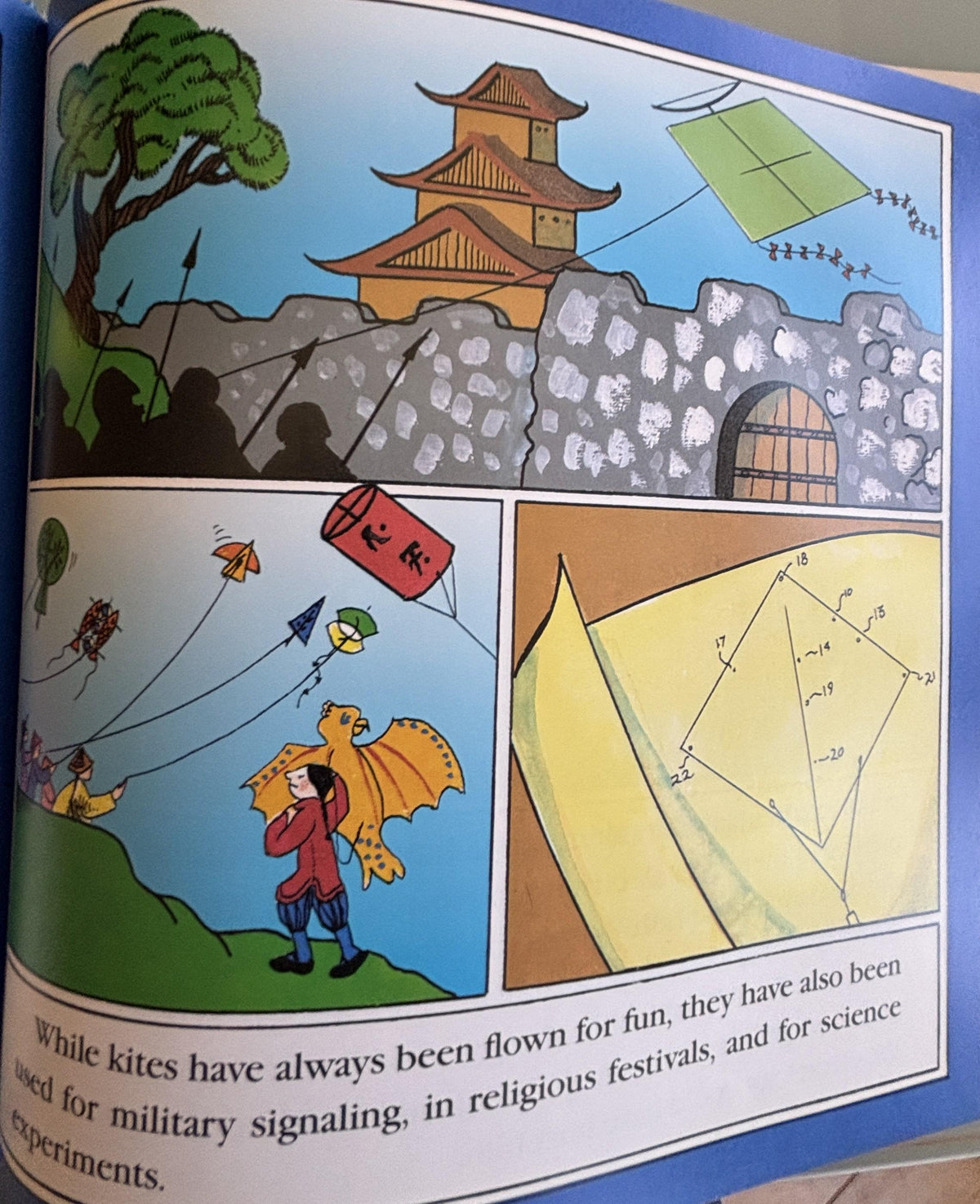 Catch the Wind:  All About Kites  **  First Edition  **