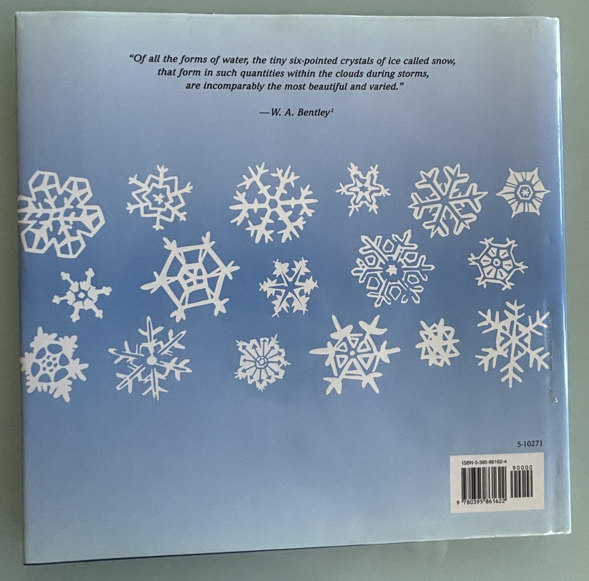 Snowflake Bentley:  Briggs Martin