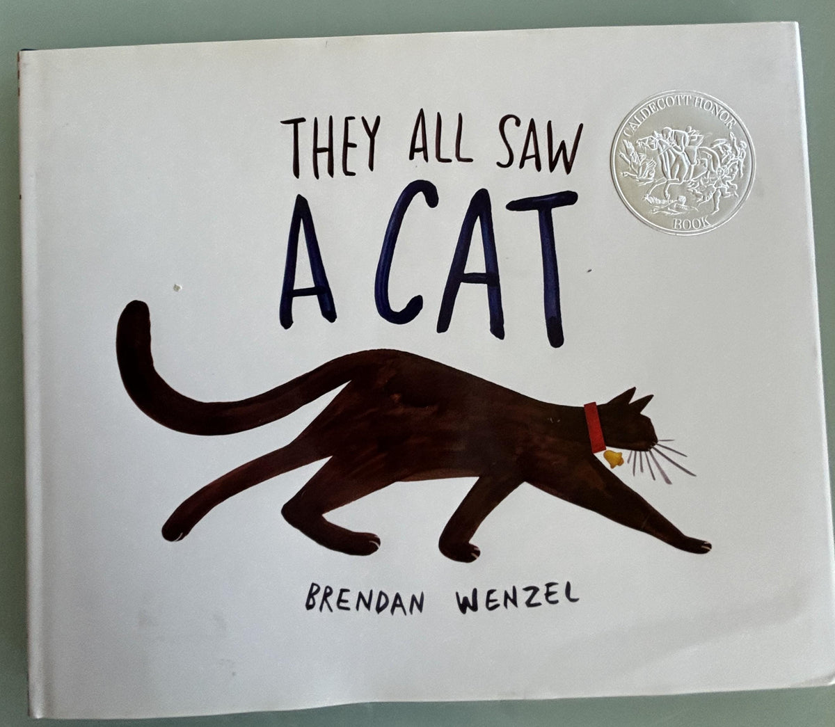 They All Saw a Cat: Brendan Wenzel