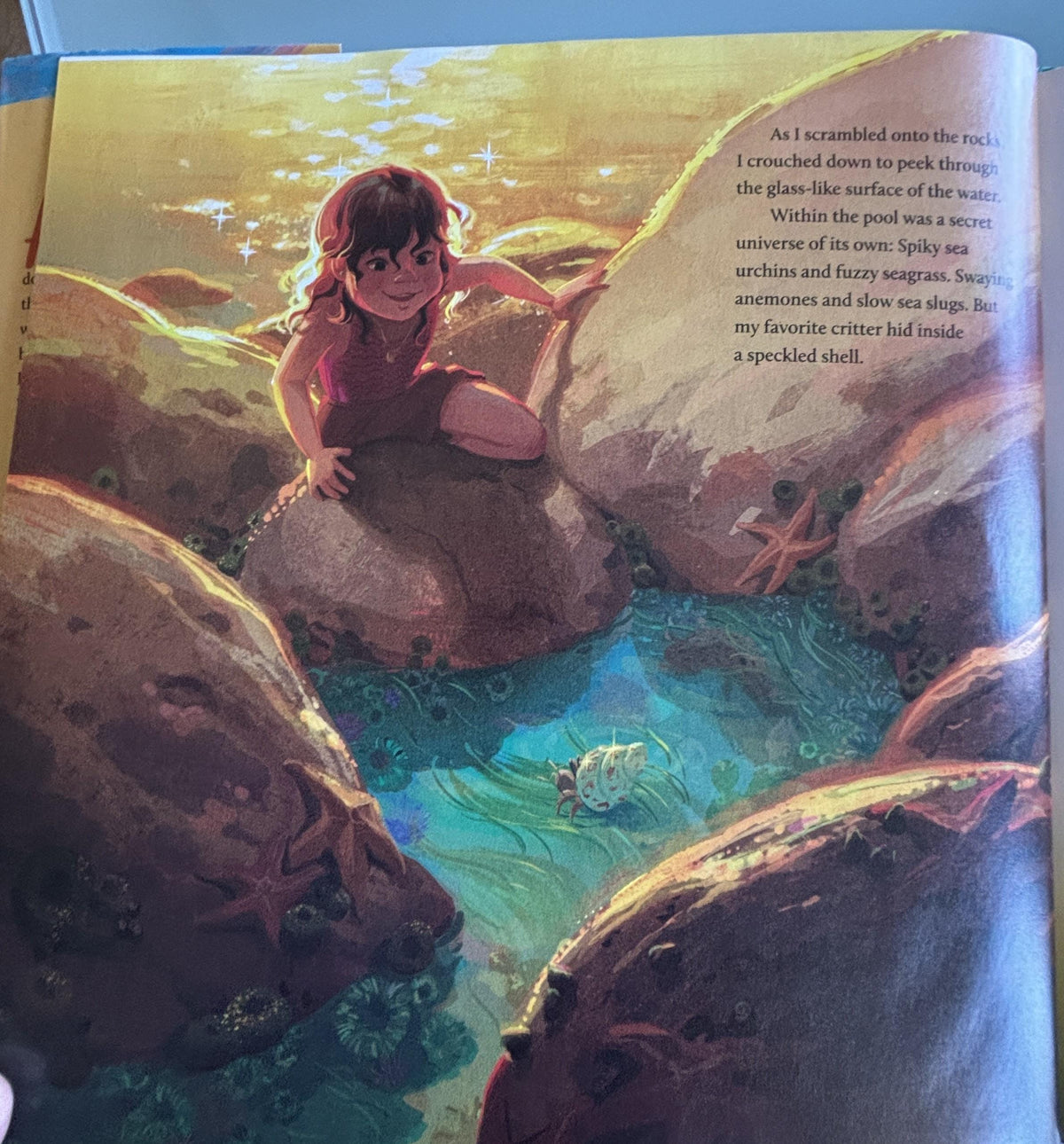 Mother of Sharks:  Melissa Cristina Marquez  **  First Publication  **