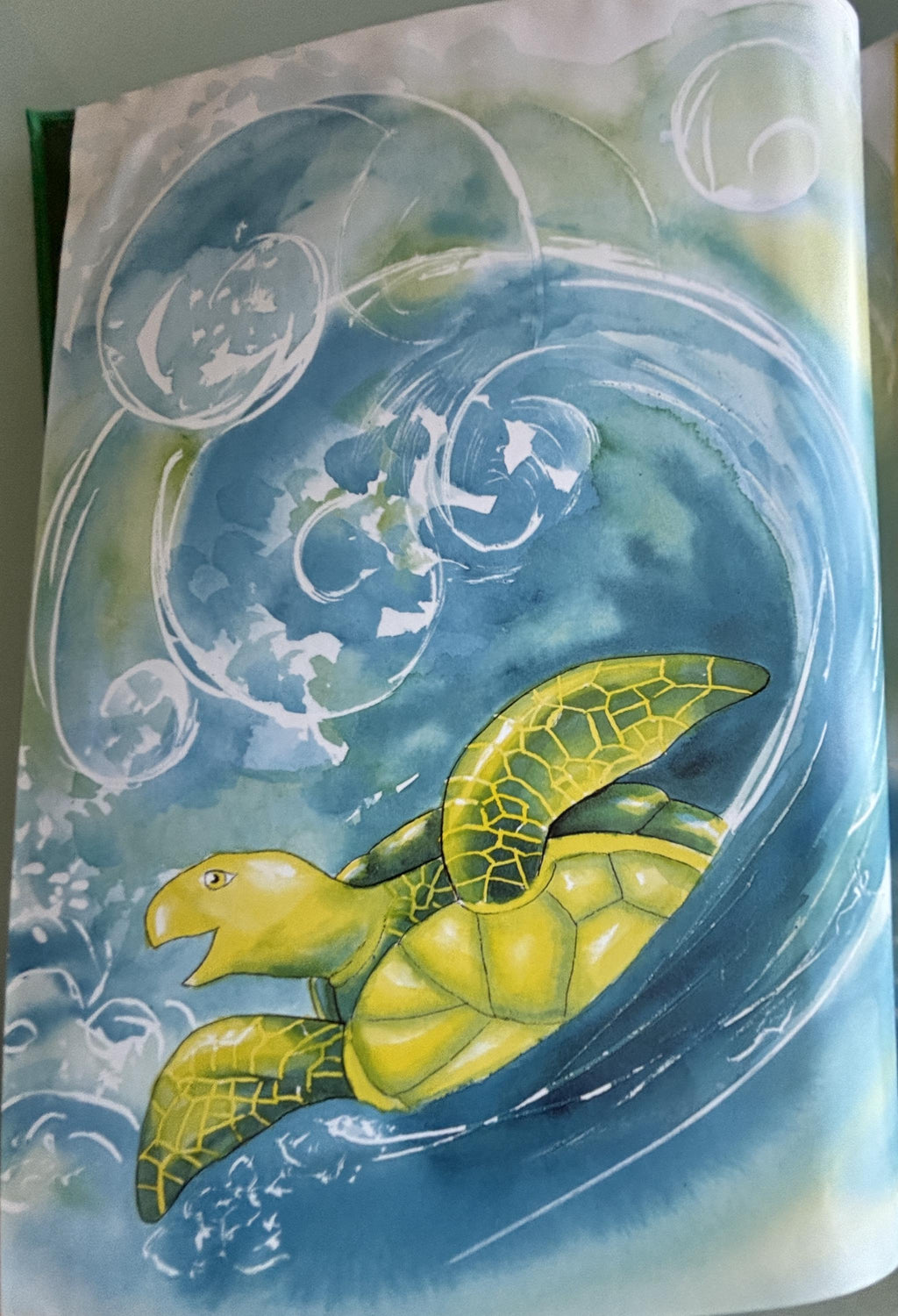 The Brave Little Turtle:  Gill McBarnet