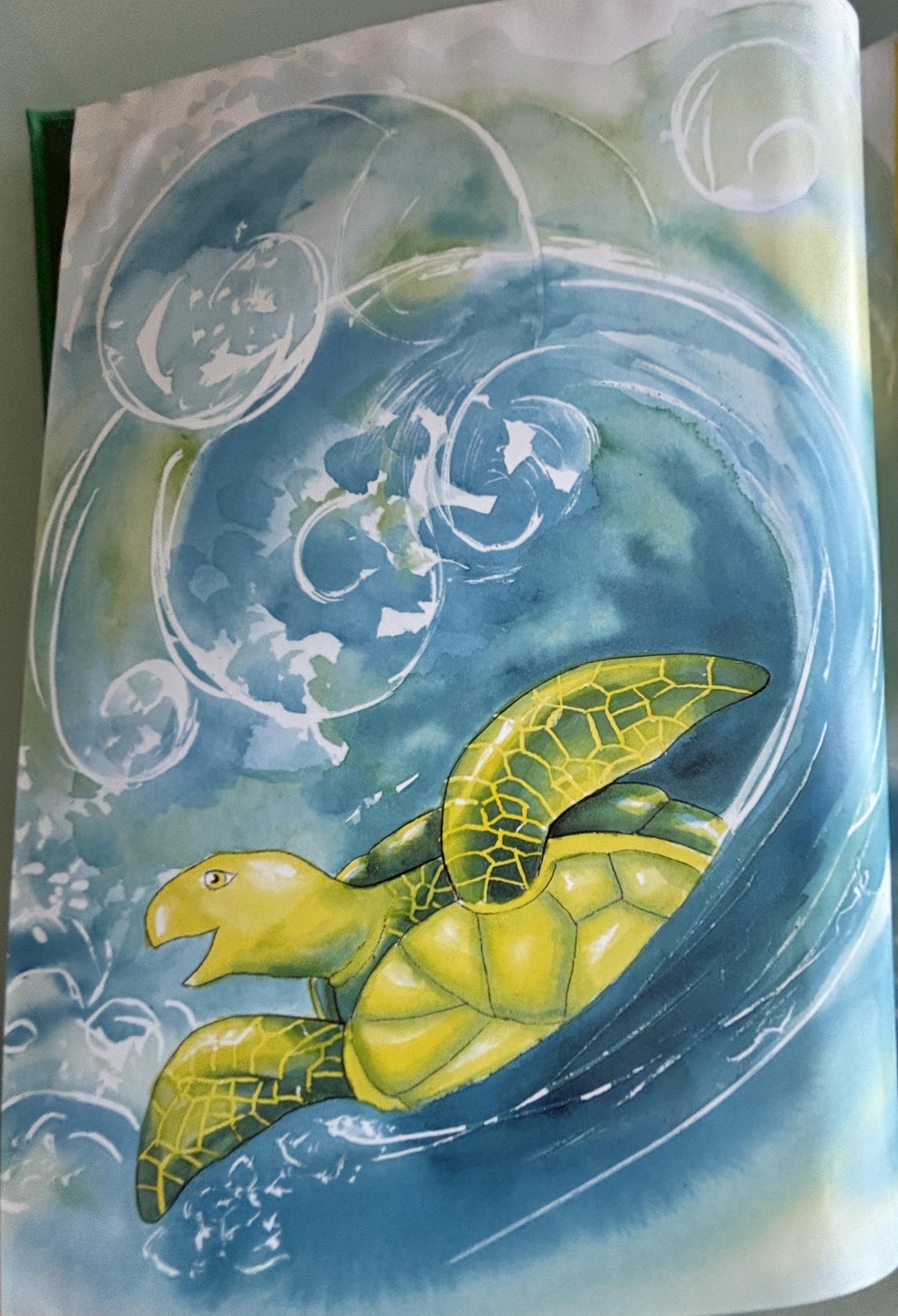 The Brave Little Turtle:  Gill McBarnet