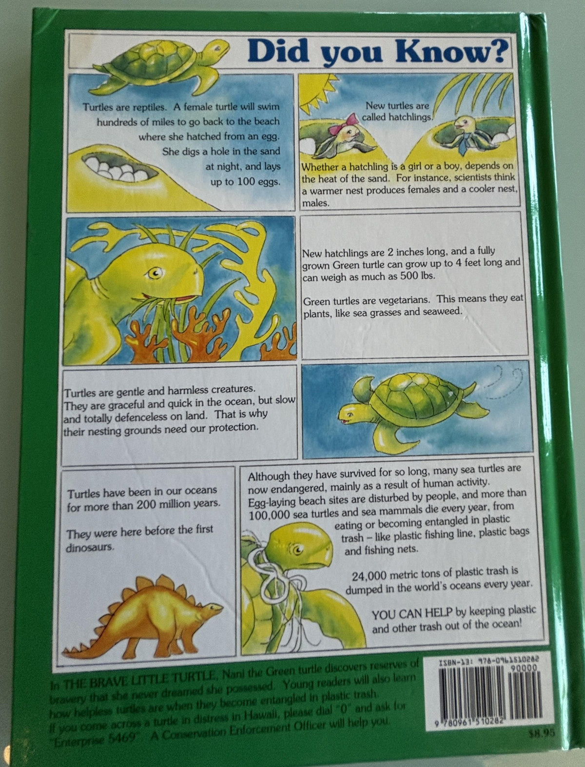 The Brave Little Turtle:  Gill McBarnet