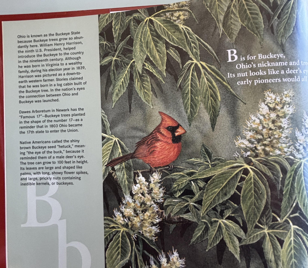B is for Buckeye by Marcia Schonberg (An Ohio Alphabet)