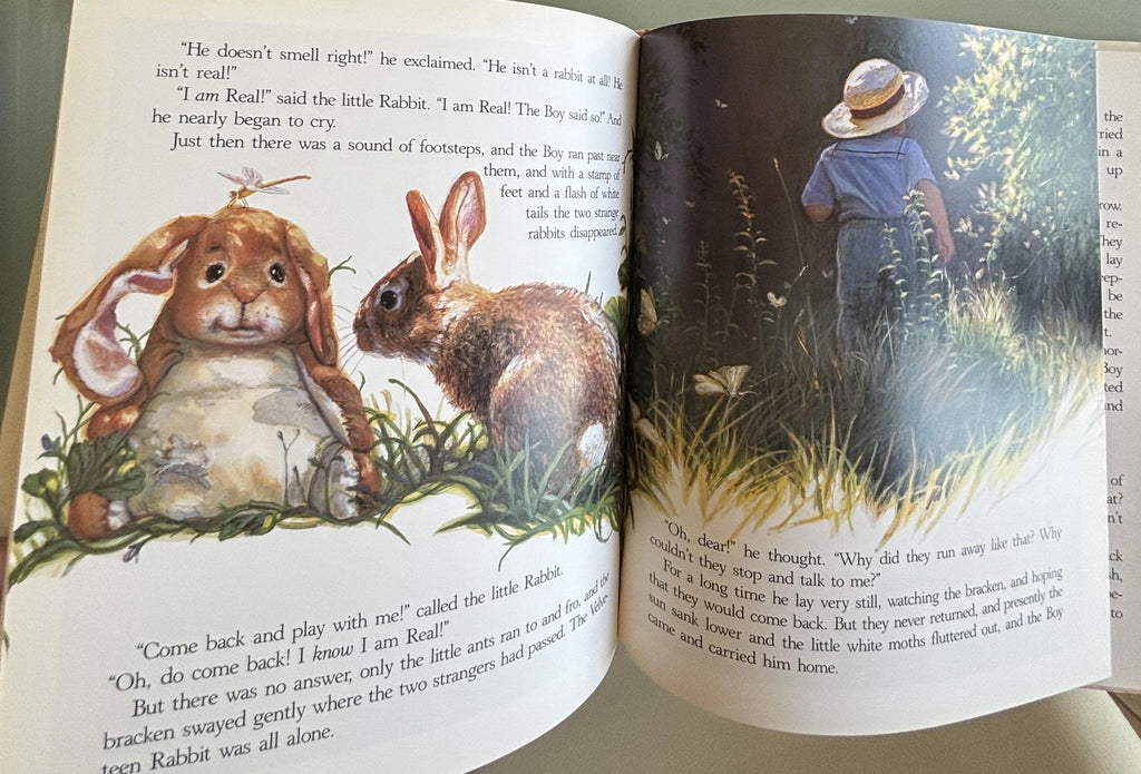 The Velveteen Rabbit: Margery Williams  1995