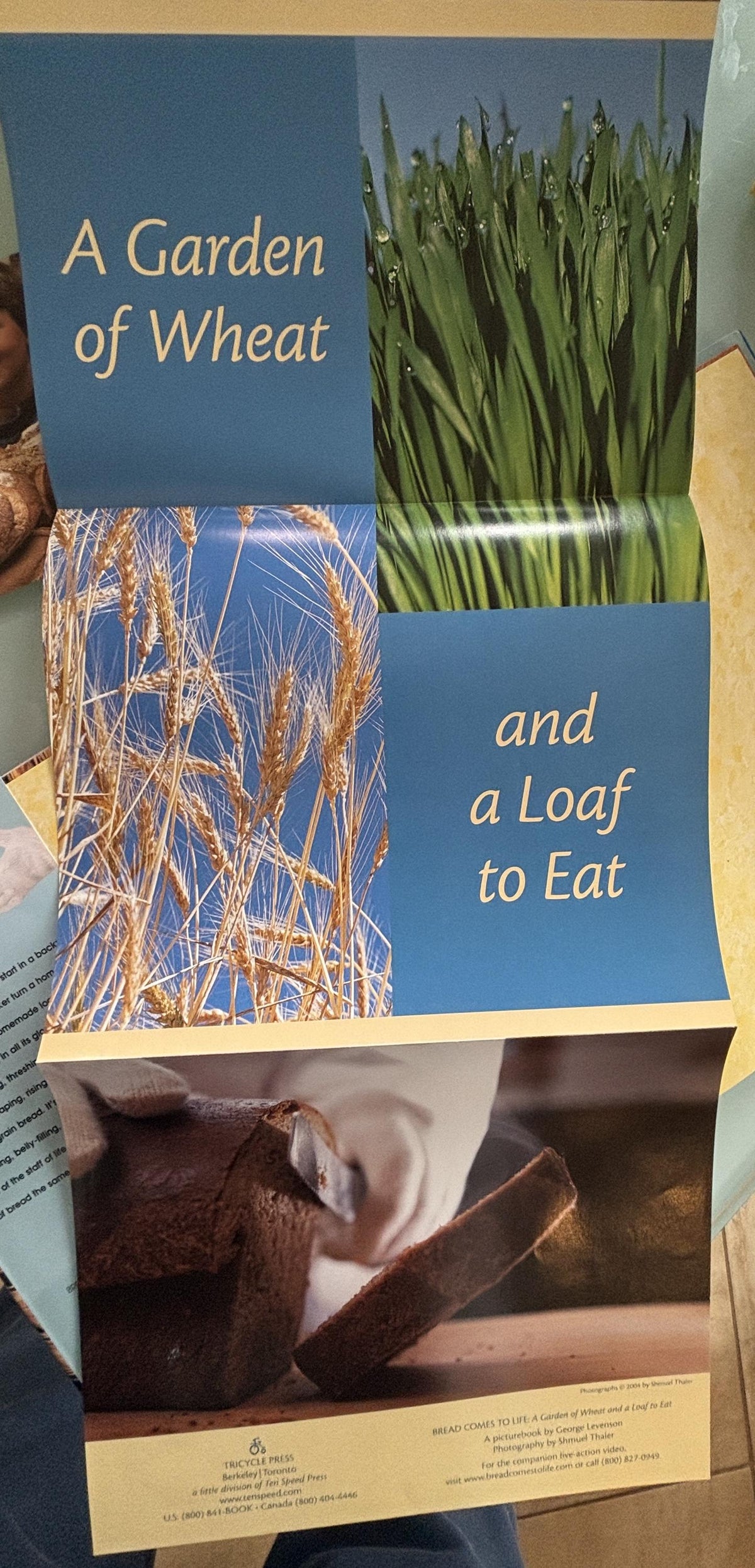 Bread Comes to Life:  George Levenson  **  First Printing  **