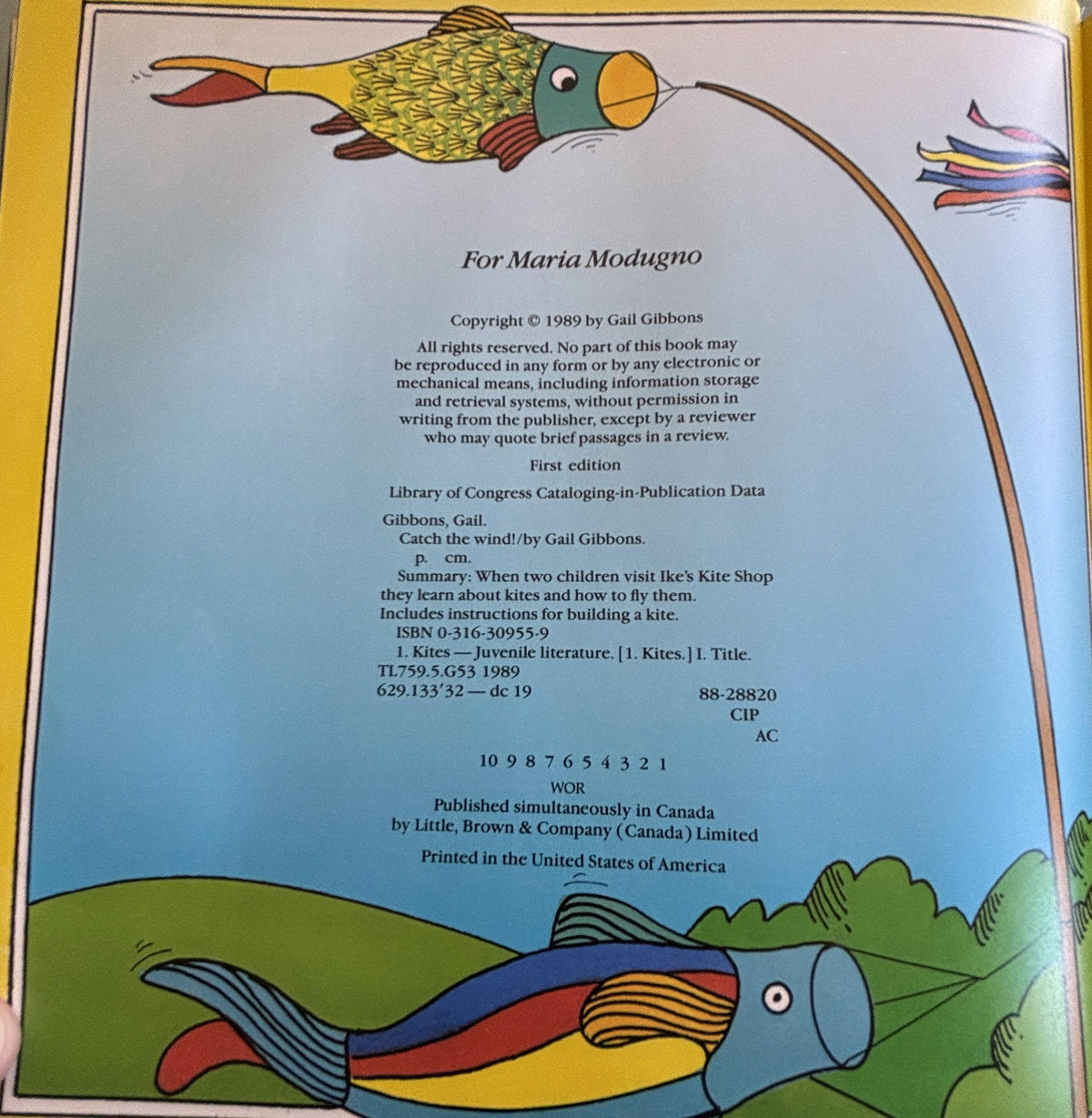 Catch the Wind:  All About Kites  **  First Edition  **